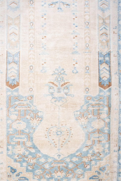 Vintage Anatol Area Rug (3' x 5')